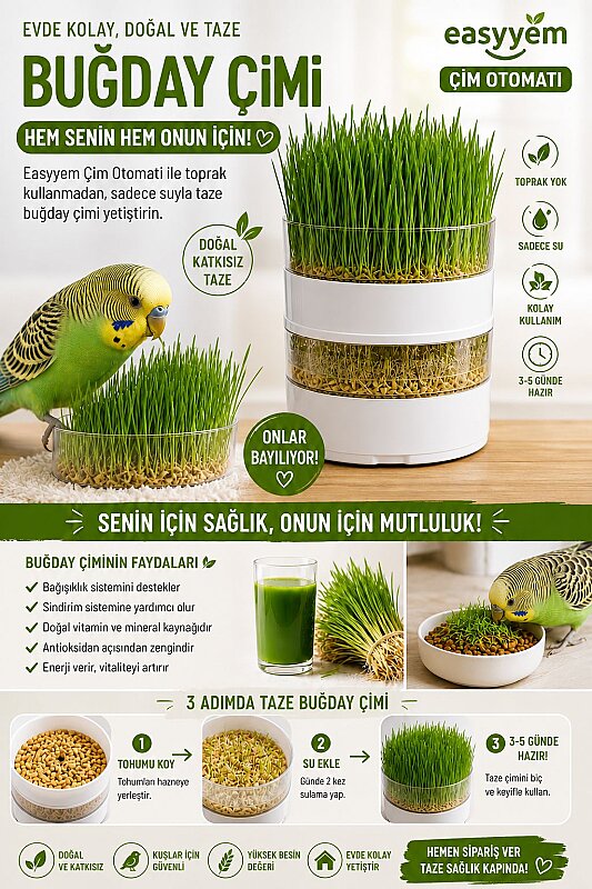 5 Katlı Çimlendirme Aparatı Şeffaf - 1
