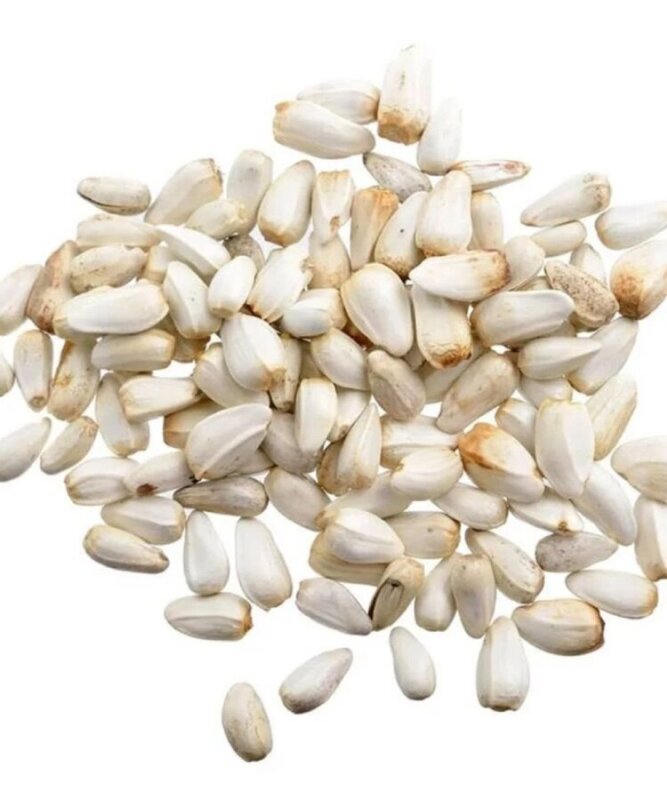 Aspir Çekirdeği Kuş Yemi 25 Kg - 1