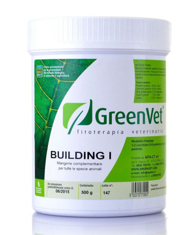Building I 250 Gr - 1