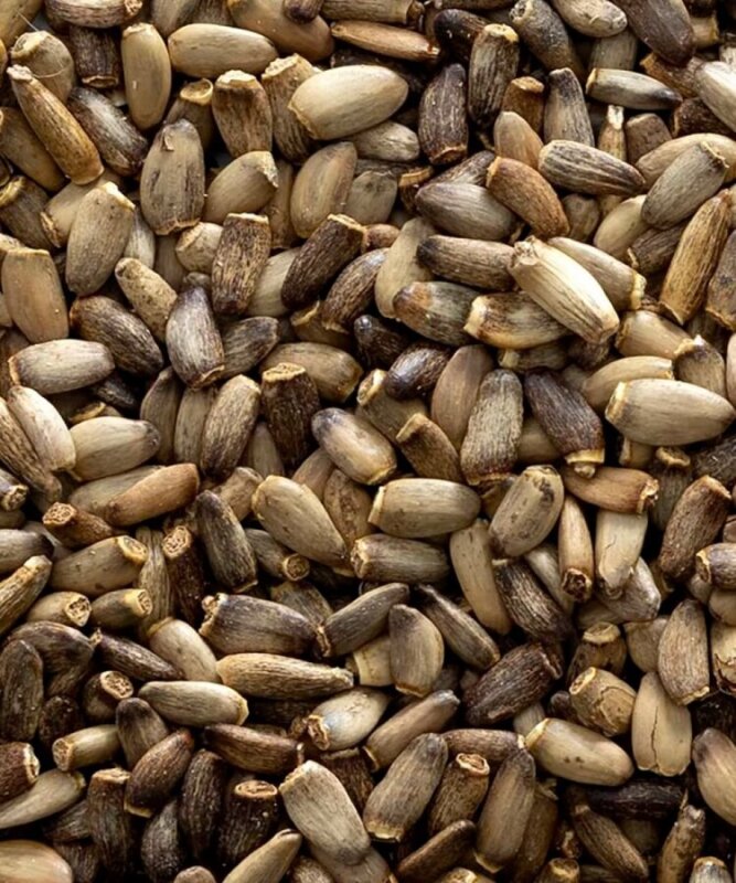 Deve Dikeni 1 Kg - 1