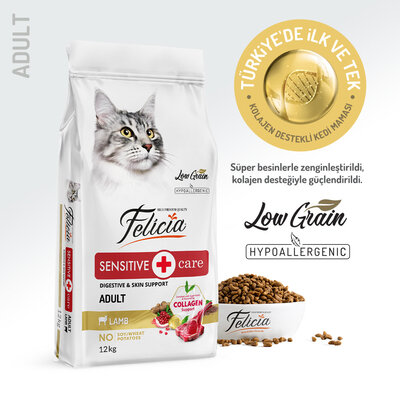 Felicia Yetişkin Kuzu Etli Az Tahıllı Hypoallergenic Kedi Maması 12 kg - 1