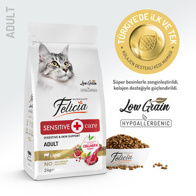 Felicia Yetişkin Kuzu Etli Az Tahıllı Hypoallergenic Kedi Maması 2 kg - 1
