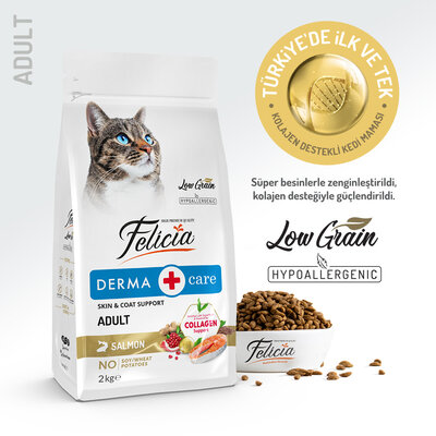 Felicia Yetişkin Somonlu Az Tahıllı Hypoallergenic Kedi Maması 12 Kg - 1