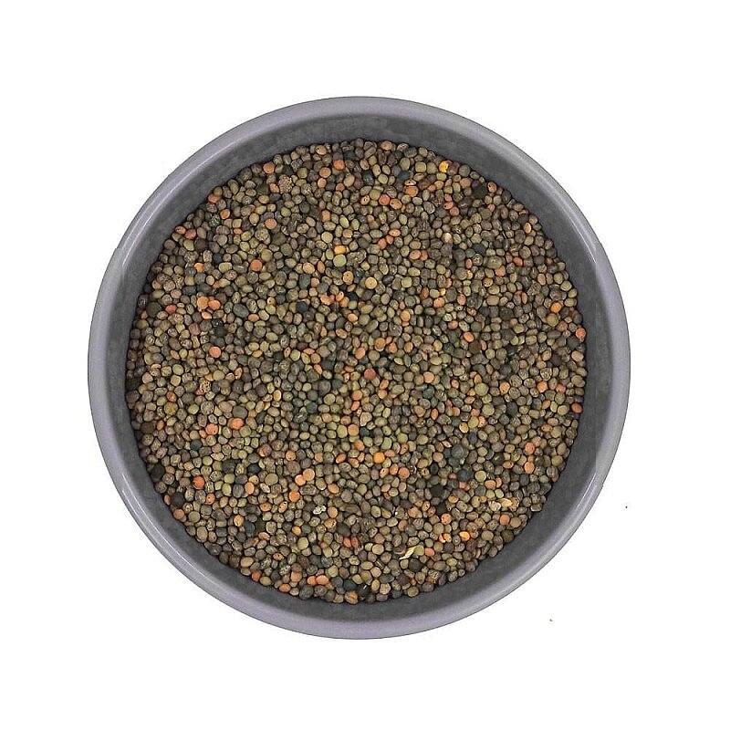 Fig Tohumu Kuş Yemi 1 Kg - 1