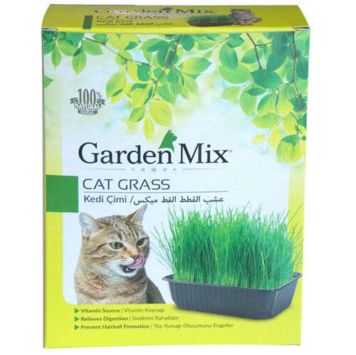 Garden Mix Kedi Çimi - 1