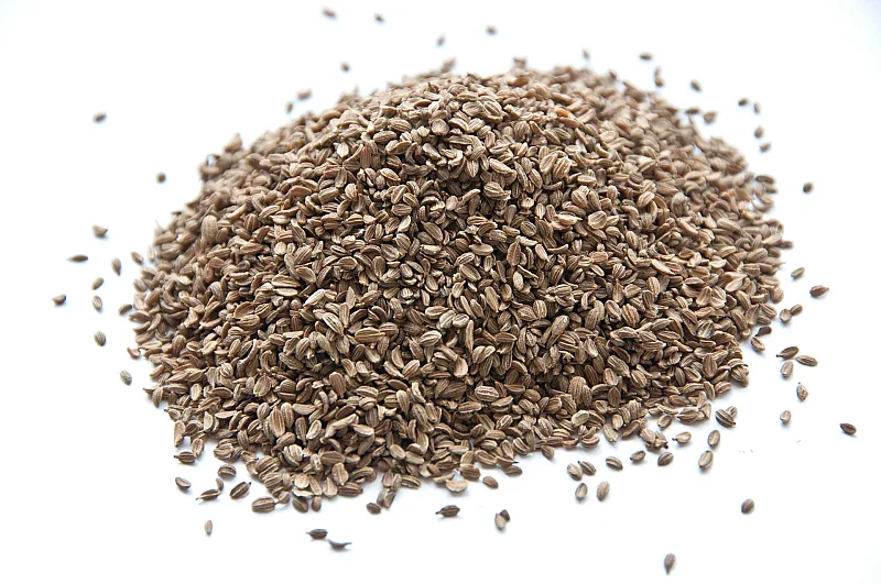 Havuç Tohumu Kuş Yemi 1 Kg - 1
