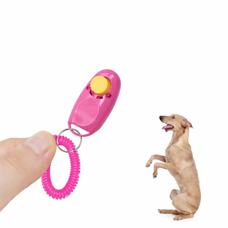 Köpek Eğitimi İçin Clipper Pembe - 1