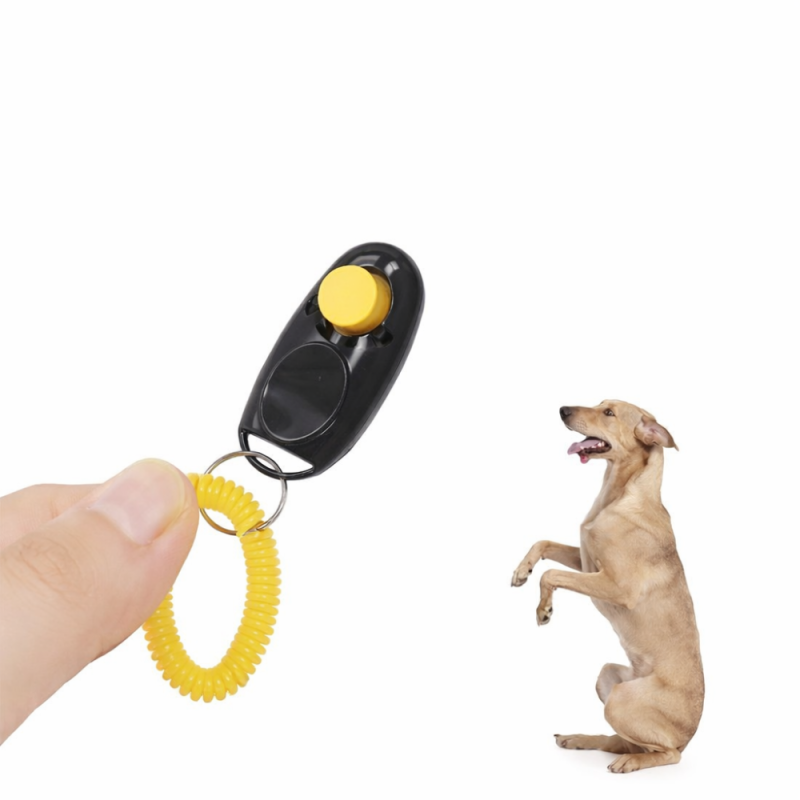 Köpek Eğitimi İçin Clipper Siyah - 1