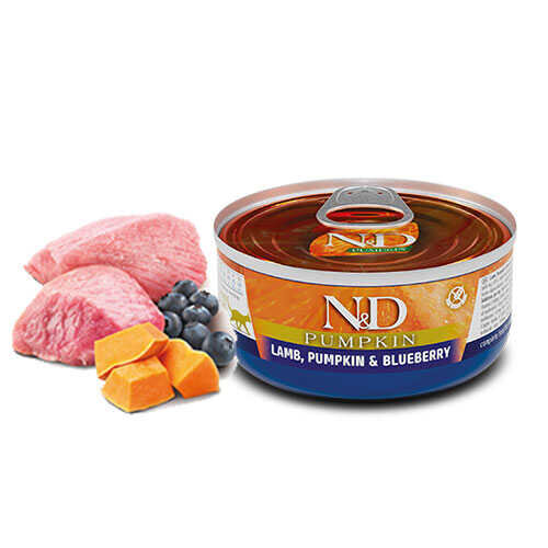 N&D Kedi Kuzu, Balkabağı Yaban Mersini Kedi Yaş Maması 70 Gr - 1