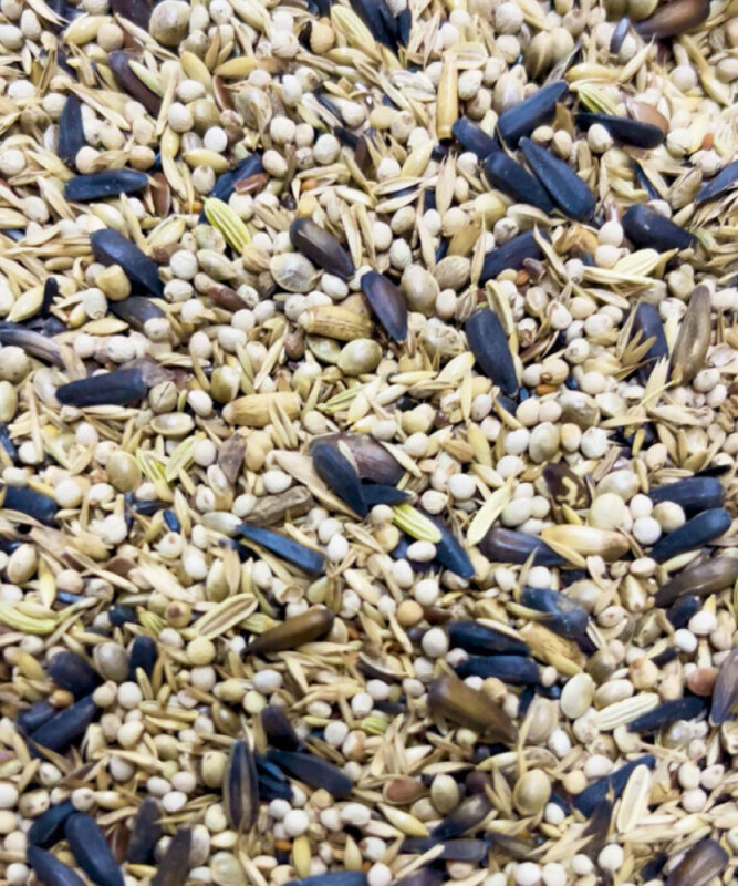 Ornitalia Mixture Carduelis 5 Kg - 2