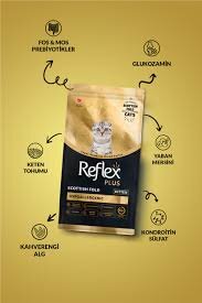 Reflex Plus Scottish Fold Yavru Kedi Maması 1,5 Kg - 1