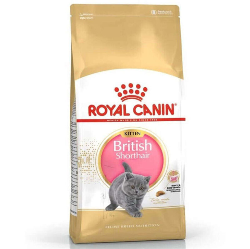 Royal Canin Kitten British Shorthair Yavru Irk Kedi Maması 2 Kg - 1