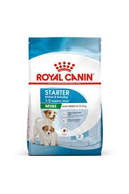 Royal Canin Mini Starter Mother & Babydog Anne ve Yavru Köpek Maması 1 Kg - 1