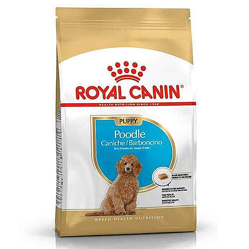 Royal Canin Poodle Puppy Köpek Maması 3 Kg - 1