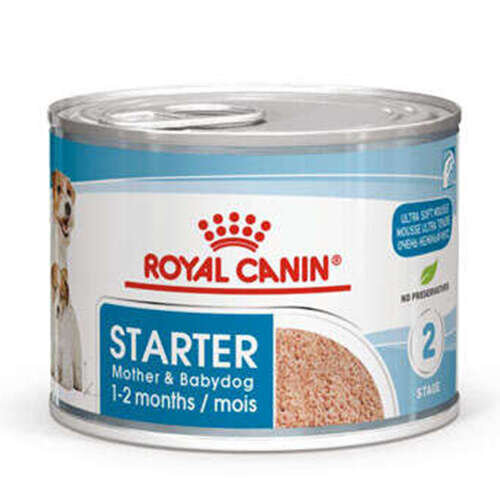 Royal Canin Starter Mother & Babydog 195 Gr Yavru Köpek Konservesi - 1