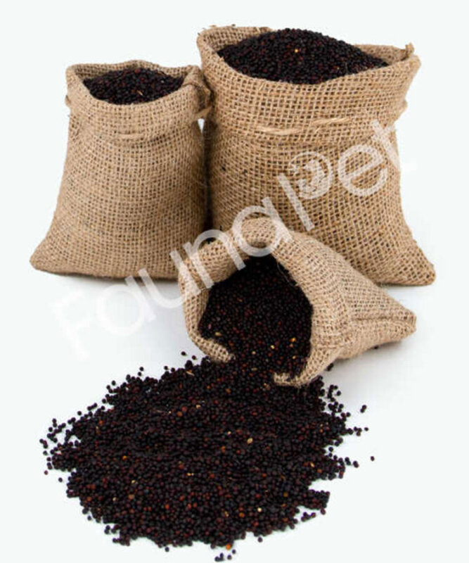 Şalgam Tohumu Kuş Yemi 5 Kg - 1