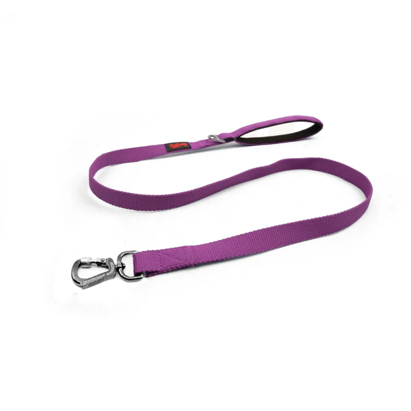 Tailpetz Purple Match Leash Medium & Purple Mor - 1
