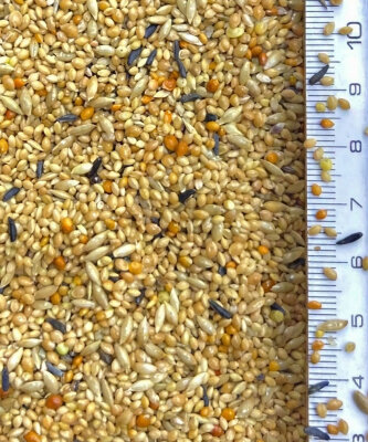 Vaesen Finch 01 1 Kg - 2