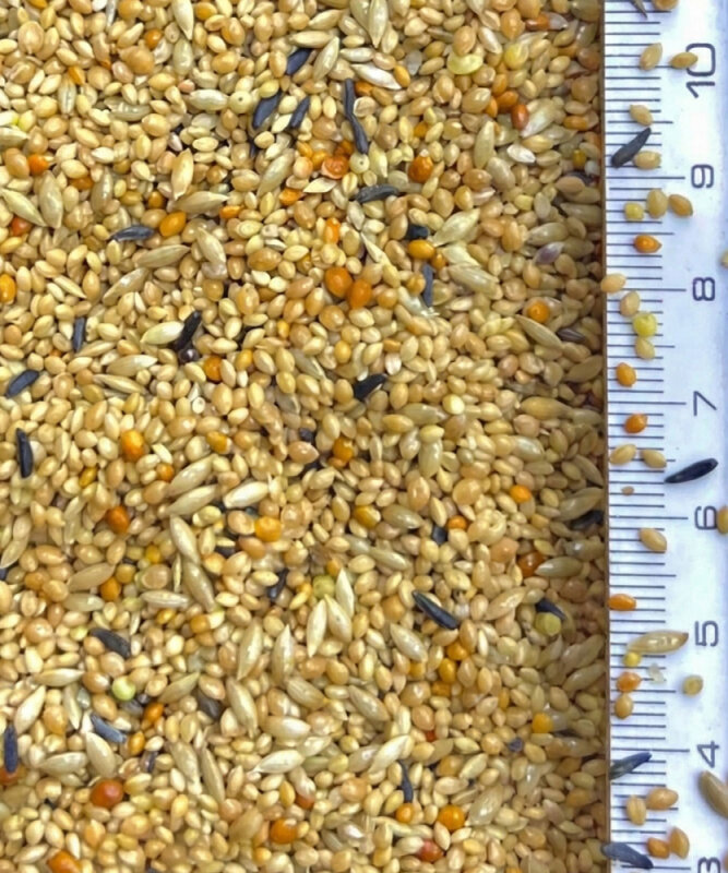 Vaesen Finch 01 20 Kg - 2